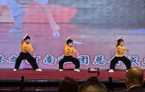 楊逸昇_P3D_11_兒童功夫表演(3) - Ray Ieong