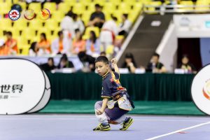 陳頌恆_P2D__2025澳門國際武術精英賽暨傳承武術文化節3