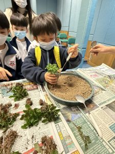 P2活動相片 (6)
