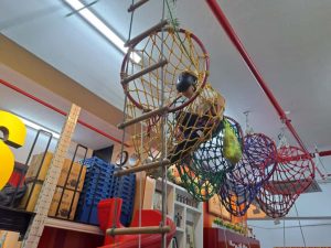 WhatsApp Image 2025-11-15 at 6.19.05 PM(1)