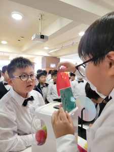 2526_DCIP_普法周_11