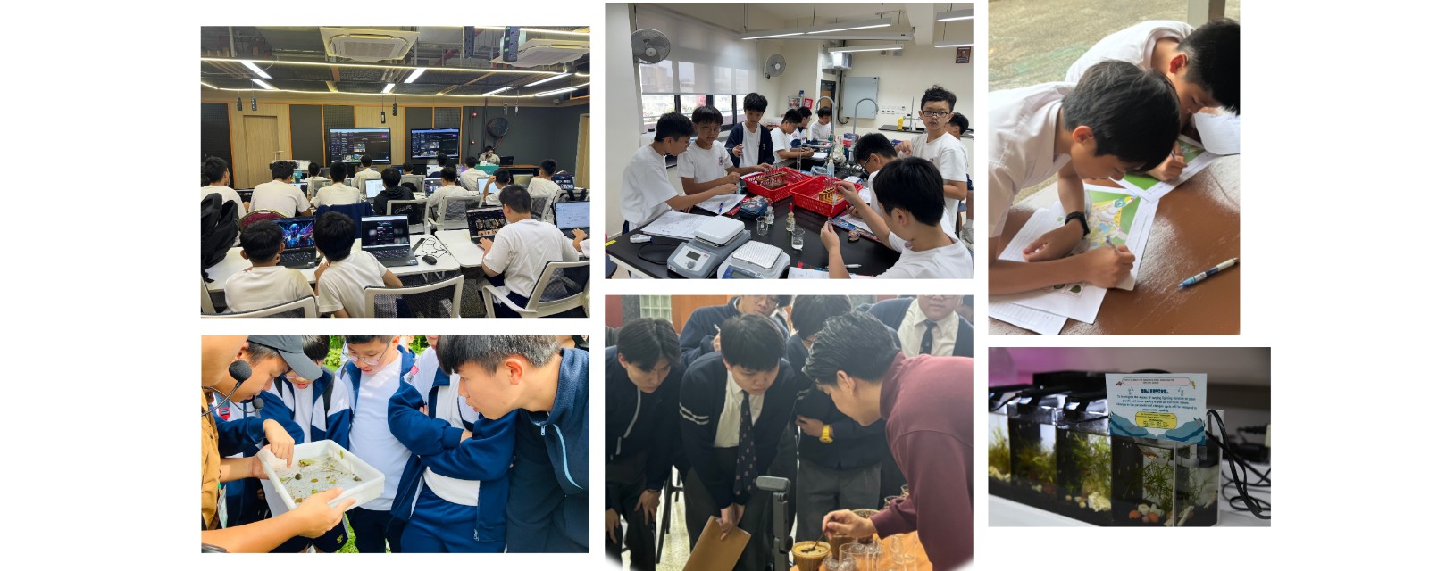 校網_STEAM教育_2526 (3).jpg